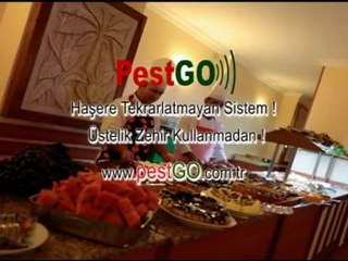 PESTGO HAŞERE FARE BÖCEK SAVAR KÖSTEBEK YILAN  KENE AKREP KOVUCU