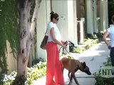 Belgian Malinois: Eva Mendes And Her Guard Dod Take A Stroll In West Hollywood.