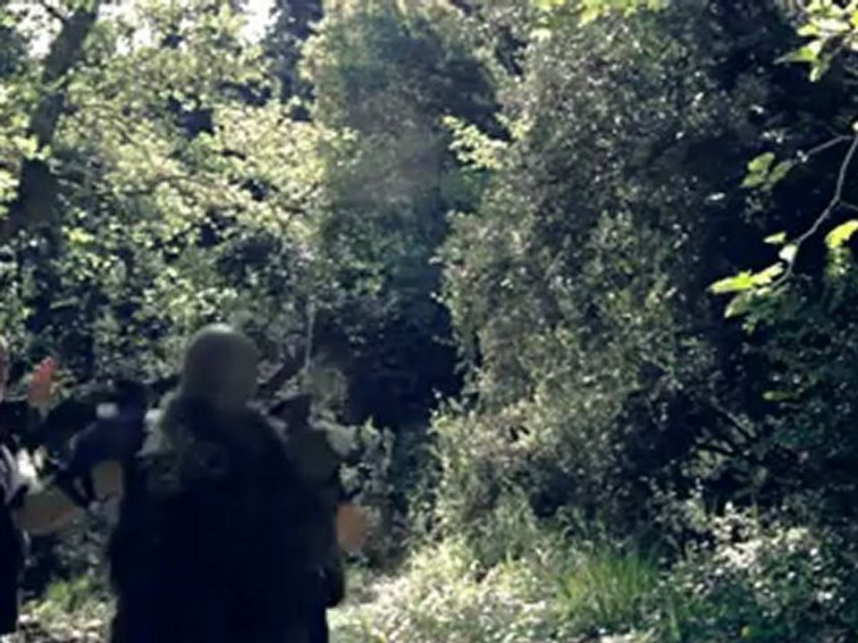 Indomitable teaser trailer