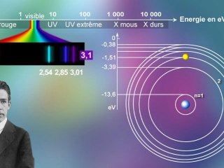 L'électron dans tous ses états