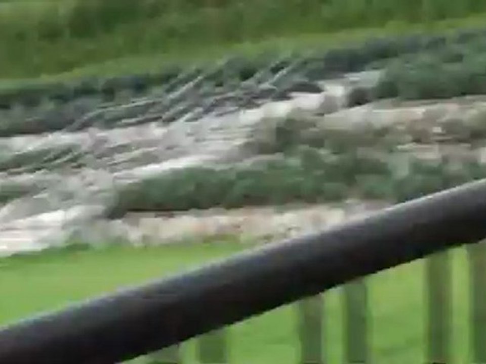 20120814142917