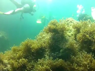 Maltaqua - Welcoming the french students