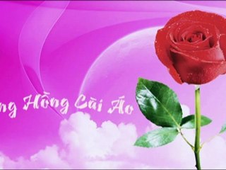 Bông Hồng Cài Áo