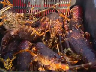 S. African fishermen feel the heat