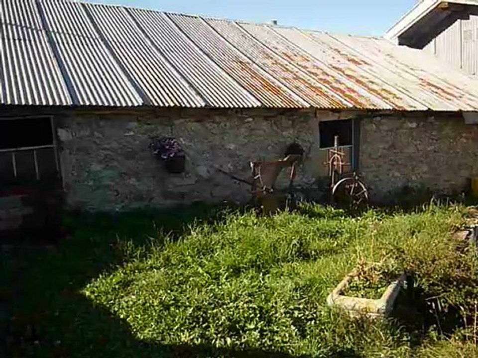 Clarines de l'aulp de Marlens