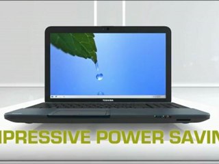 Toshiba Satellite L875 and L875D Series Mercury Silver color (L875D-S7210)