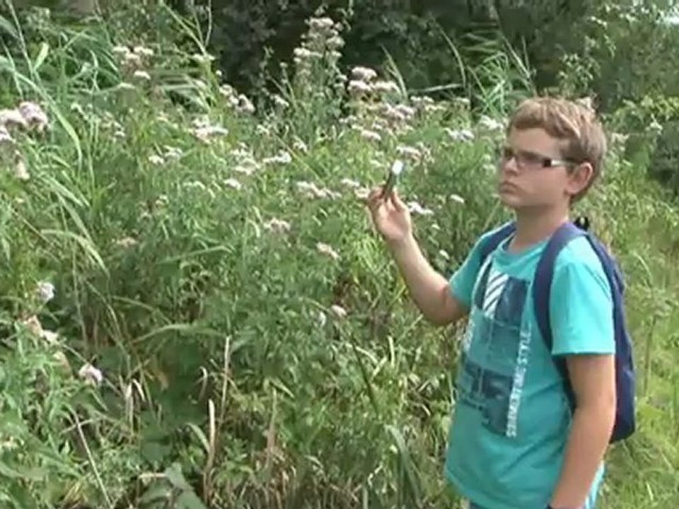 ballade aux étangs du ROMELAERE