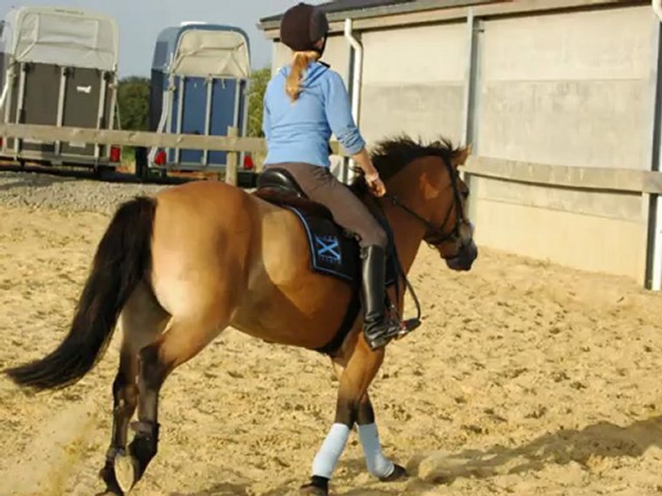 mon poney