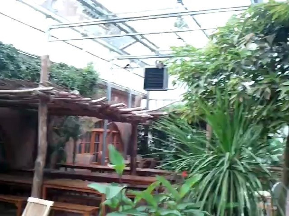 JULES ET ZOE PARADISIO AOUT 2012