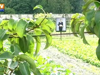 Des légumes et des hommes à Versailles
