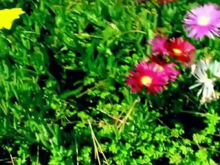 BEAUTIFUL by Higher Level Productions
