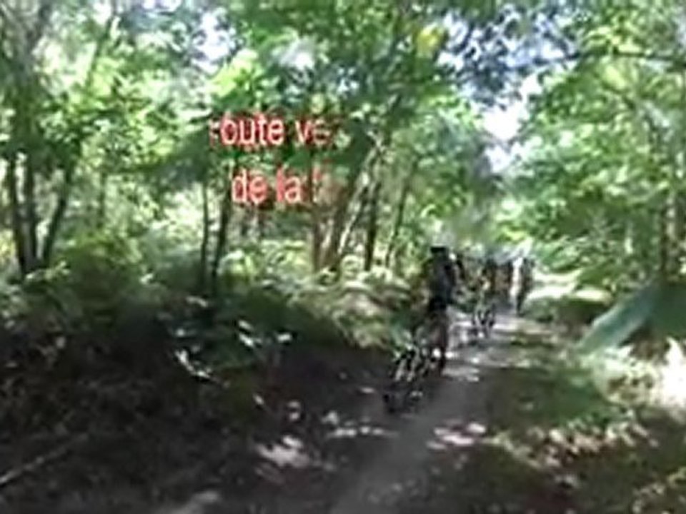 Foret val de la haye