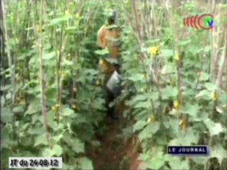 Un forage d’eau à la disposition des jeunes agriculteurs de Ouesso