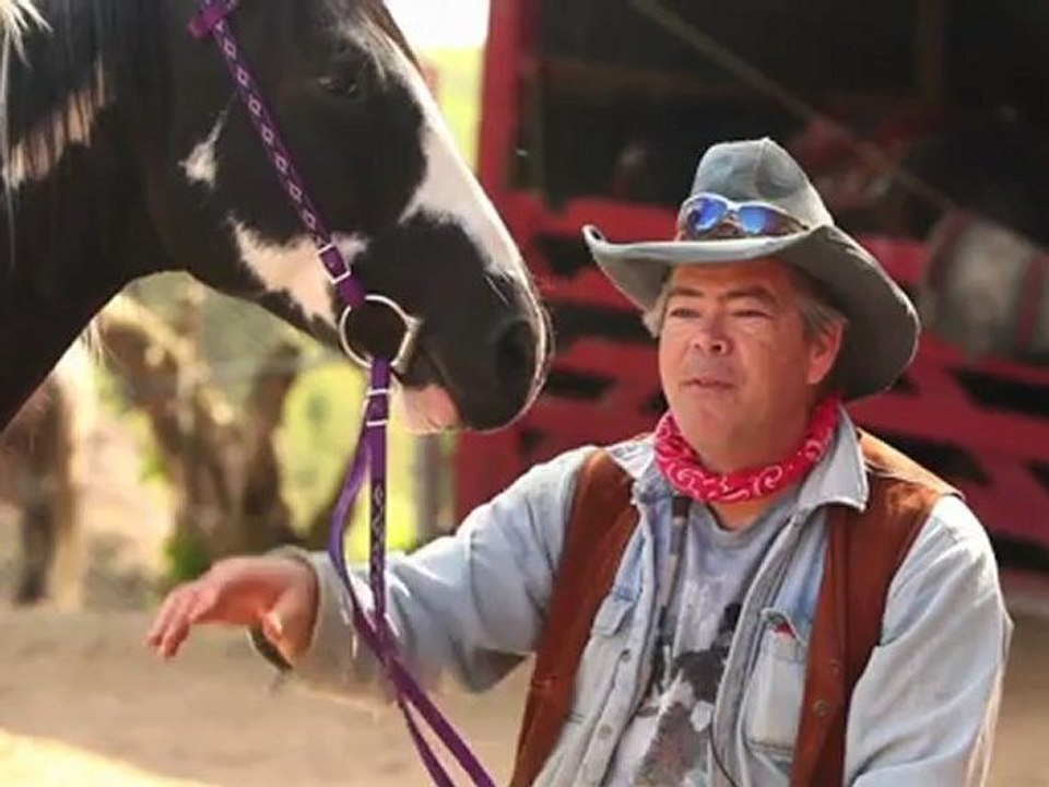 Kirk The Horse Whisperer - Horses NEED fun!