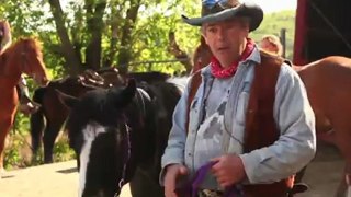 Kirk The Horse Whisperer - How to befriend a horse.