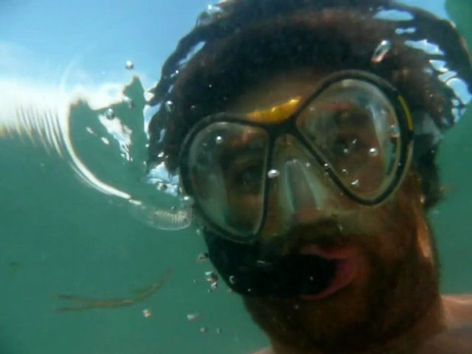 PLONGEES ATLANTIQUES (LOUL)