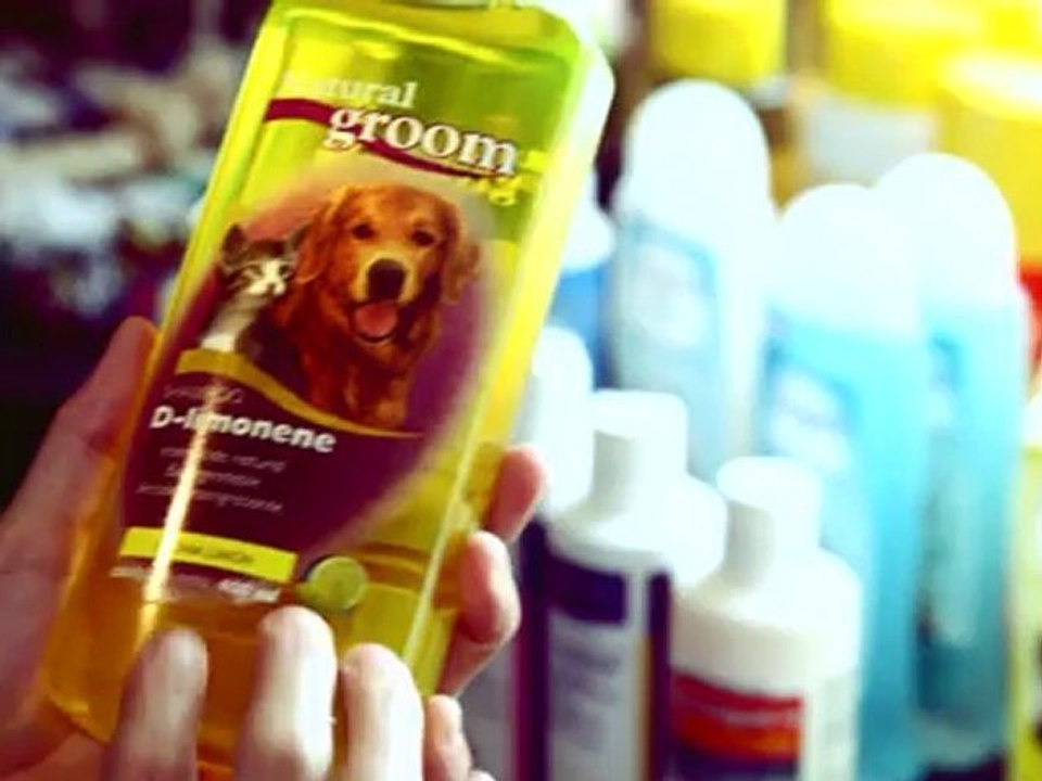 Clínica Veterinaria Huesitos, Cozumel, Quintana Roo.