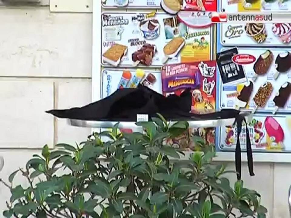 TG 24.08.12 Omicidio a Mola di Bari, ucciso Giuseppe Amodio