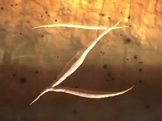 ZORRO: SHADOW OF VENGEANCE Teaser Trailer