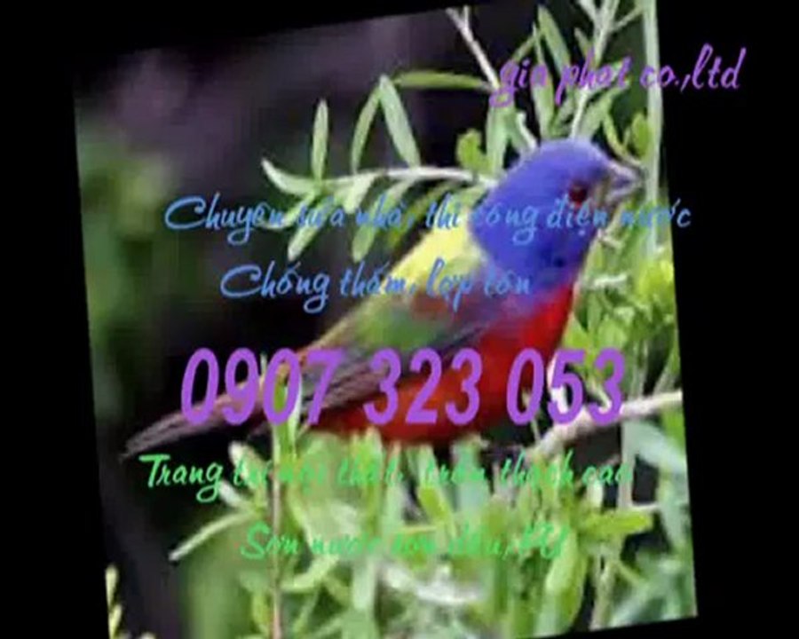 Thợ sửa ống nước tại quận 1 call 0936 890 585