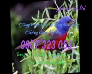 Thợ sửa ống nước tại quận 2 call 0936 890 585