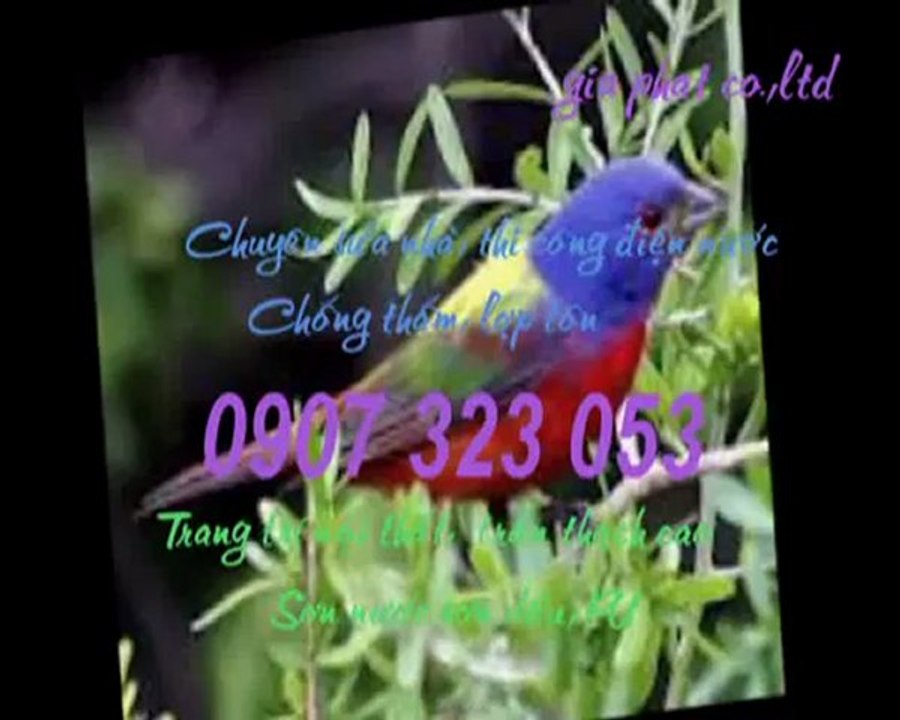 Thợ sửa ống nước tại quận 3 call 0936 890 585