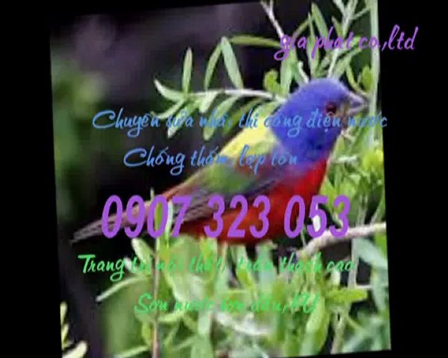 Thợ sửa đường ống nước tại quận 5 tphcm call 0936 890 585