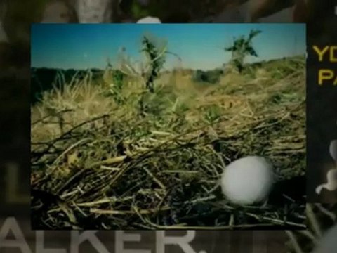 european pga golf - Johnnie Walker Championship - 2012 - Results - 2012 - Streaming - Video -