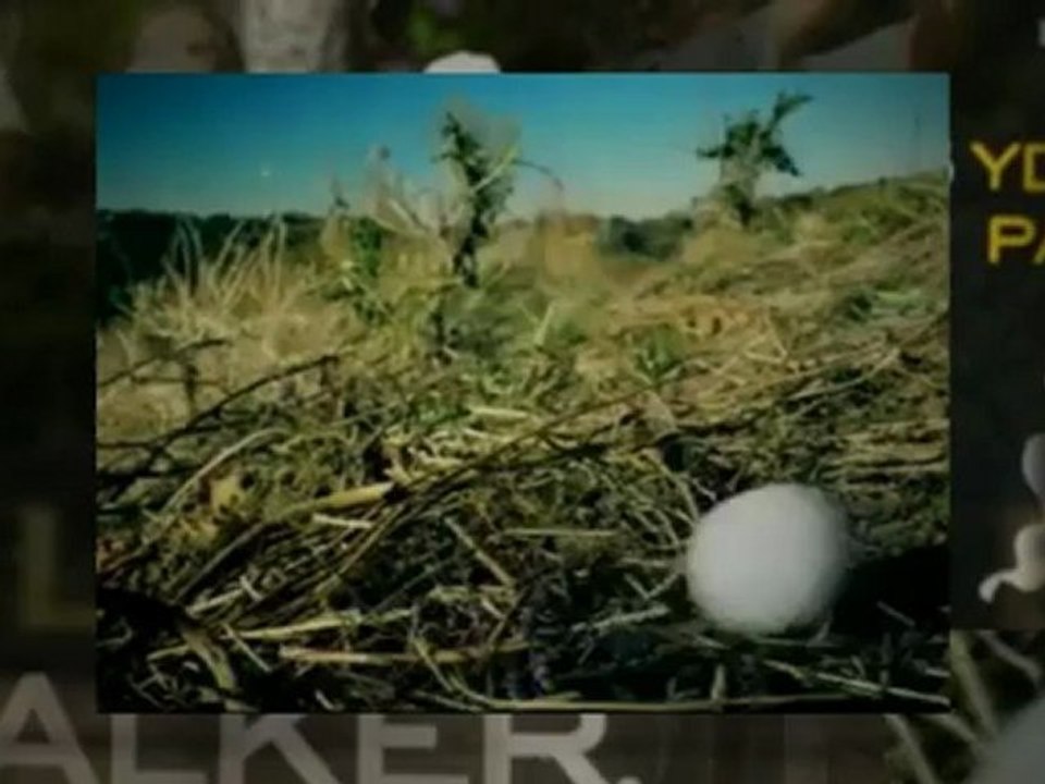 european pga golf - Johnnie Walker Championship - 2012 - Results - 2012 - Streaming - Video -