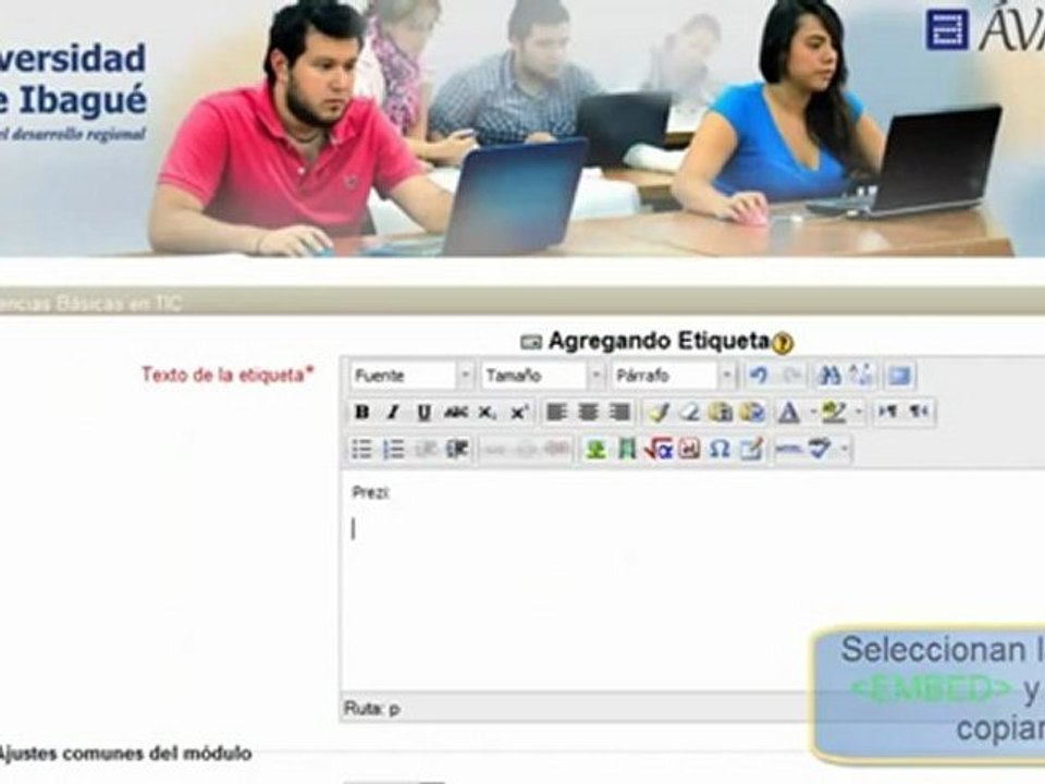 Creacin de etiquetas en Moodle