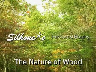 Silhouette Flooring Understand the Nature Of Wood & Properties