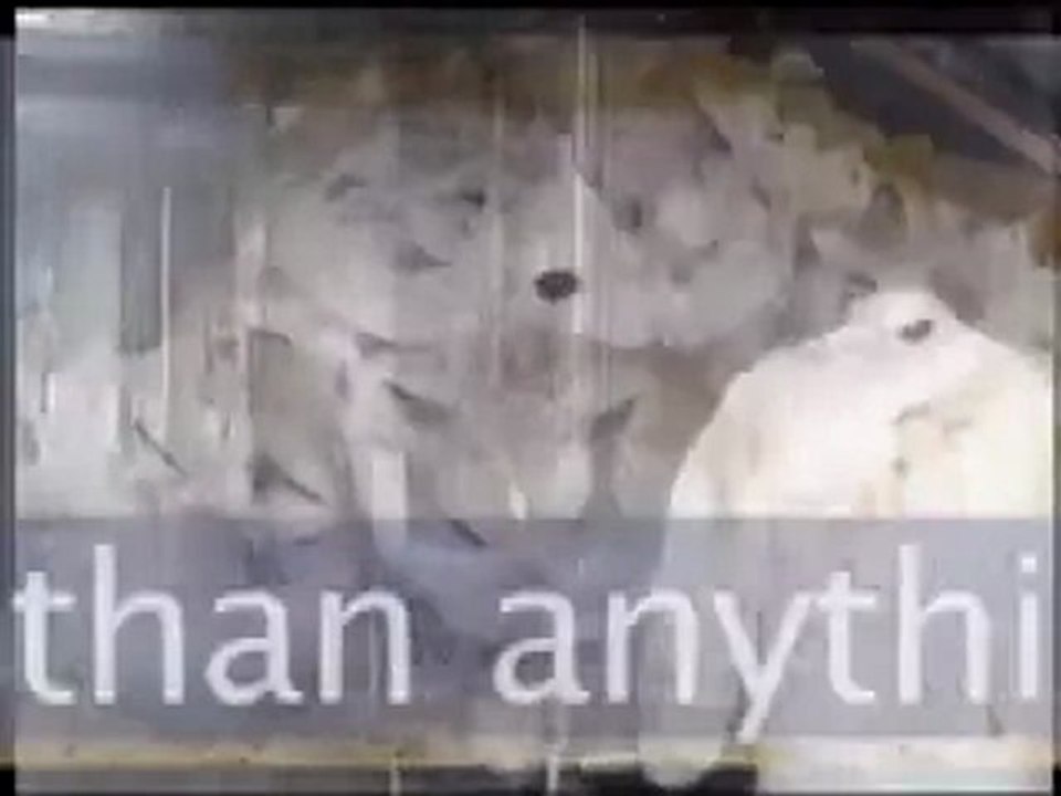 Merck Vaccine Chief Brings HIV AIDS to America