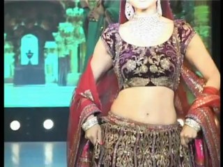 Sunny Deol Amisha Team Up Bhaiyyaji Superhitt