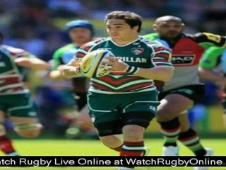 watch Rugby Argentina vs South Africa online