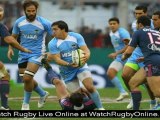 watch Rugby Argentina vs South Africa live streaming