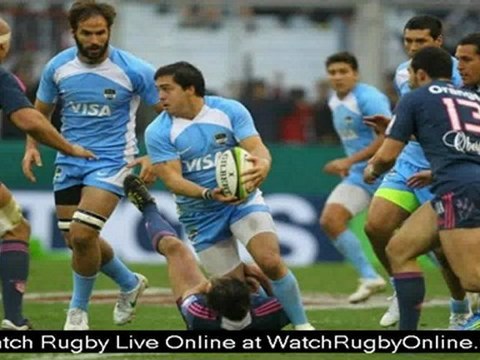 watch Argentina vs South Africa rugby Rugby live online