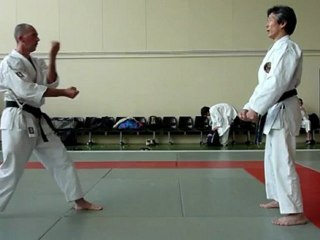 bunkai bassai dai 4