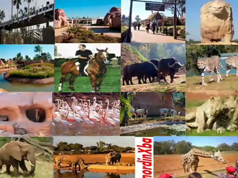 محمد السادس: ثورة ملك و شعب