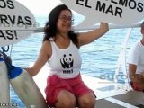 Ecologistas y WWF se sumergen contra los recortes