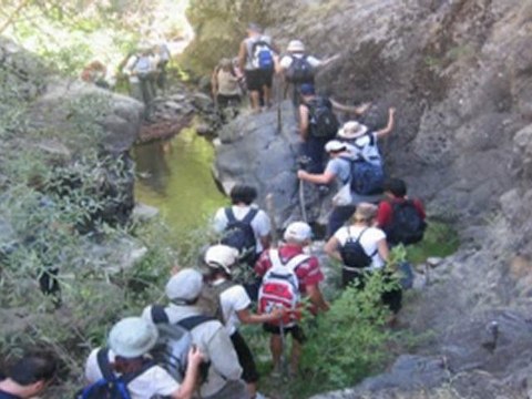 Artıyaşam Doğa yürüyüşü kış JoelCedric VCD