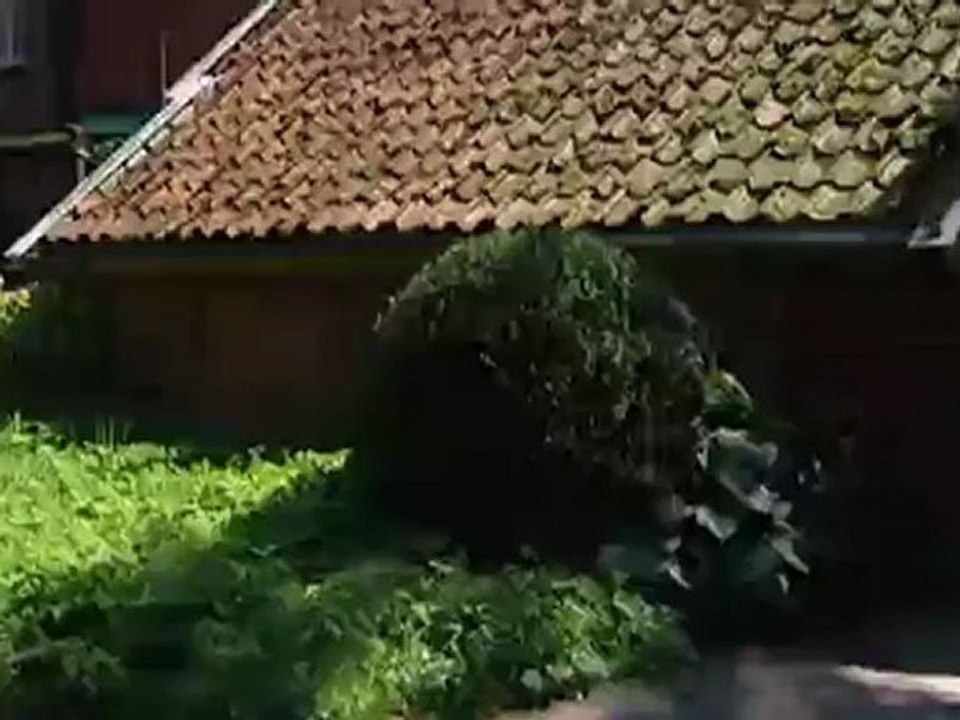 Holidays on East Frisian Islands | Discover Germany