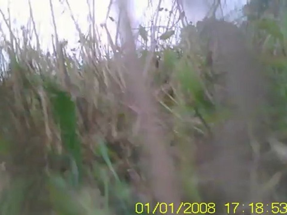 parc de miribel jonage  le vendredi  24 aout 2012