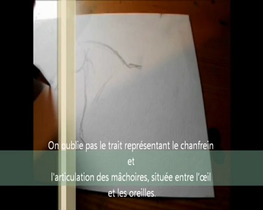 Filme de la réalisation d'une tête de cheval.