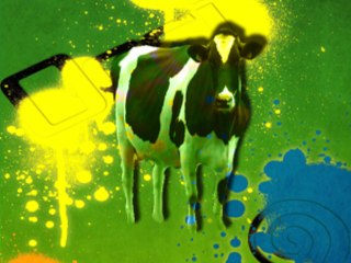 Extreme Sports ( Dreamcast )