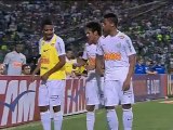 Santos complica Palmeiras após vitória