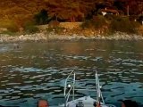 Chronophotographie sur l'eau entre Propriano & Campomoro pour le coucher de Soleil sur la mer en Corse du sud dans le Valinco