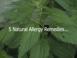 Homeopathic Remedies For Allergies