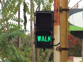 Eagle Text Pedestrian Signal