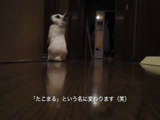 衝撃の問題作！『白いおケツ』