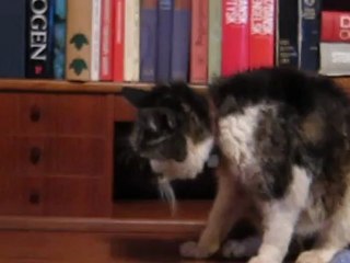 Mille, 25. aug  2012